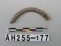 藏品(灰色泥質陶環殘件)的圖片